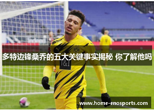 多特边锋桑乔的五大关键事实揭秘 你了解他吗