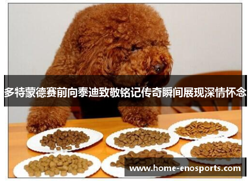 多特蒙德赛前向泰迪致敬铭记传奇瞬间展现深情怀念