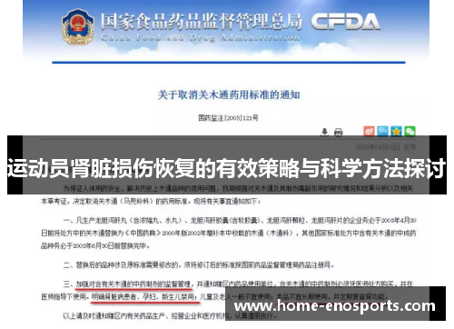 运动员肾脏损伤恢复的有效策略与科学方法探讨